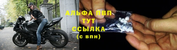 скорость Богданович
