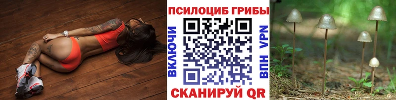 Купить  Суровикино  Галлюциногенные грибы Magic Shrooms 