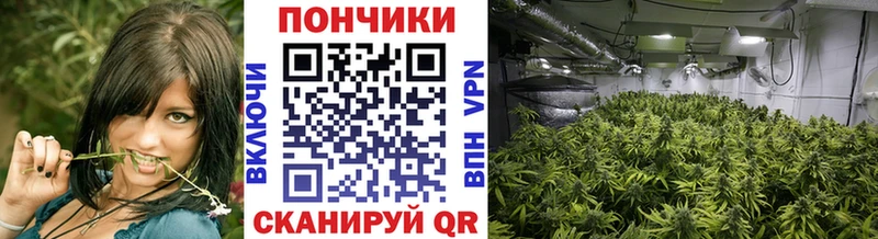 Марихуана VHQ  Купить  Суровикино 